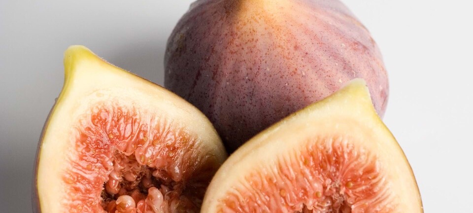 Hvilken eftermiddagssnack er bedst, når jeg vil holde mit blodsukker stabilt?