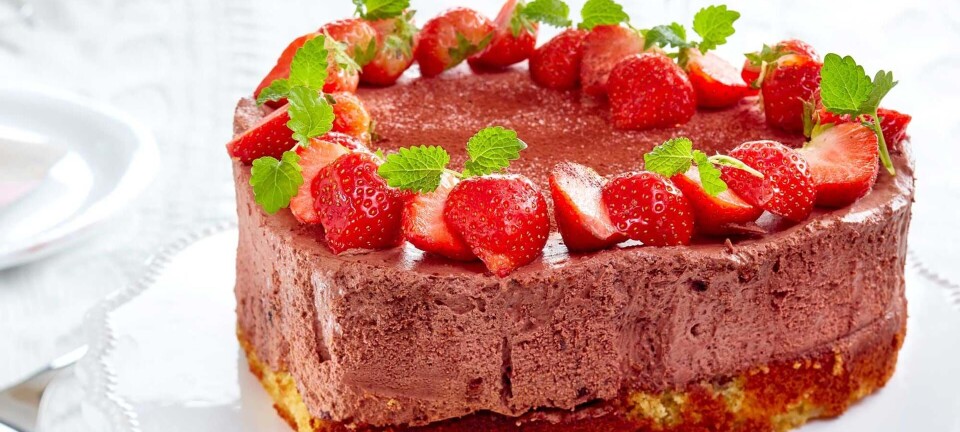Lækker chokolademoussekage uden sukker