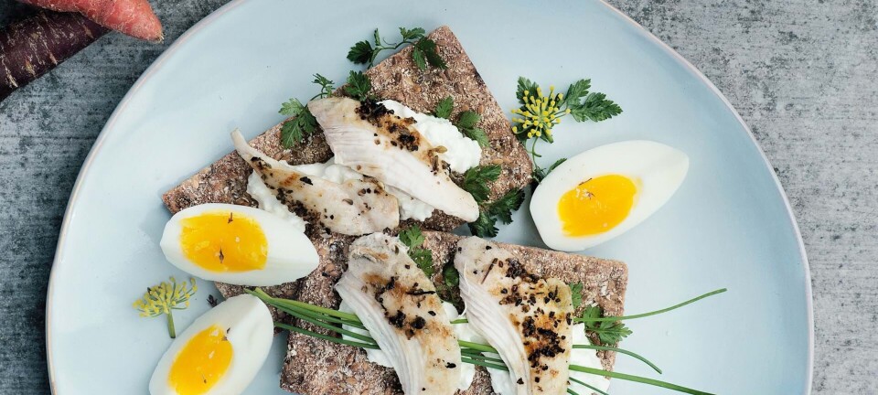 Slankende frokost: Knækbrødsmad med kyllingebryst