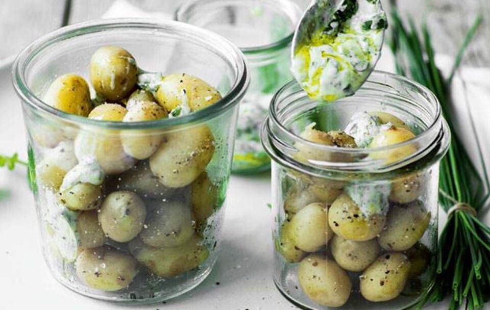 Nye kartofler med urtedip