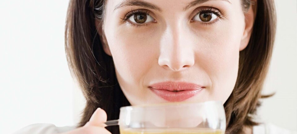 Problemer med fordøjelsen? Så skal du prøve denne urt