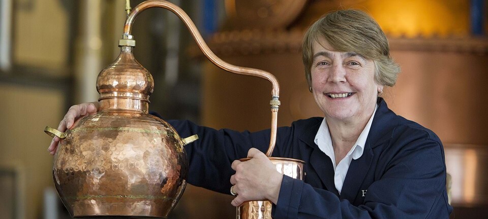 Gin-eksperten: Det her ville jeg aldrig blande i min gin
