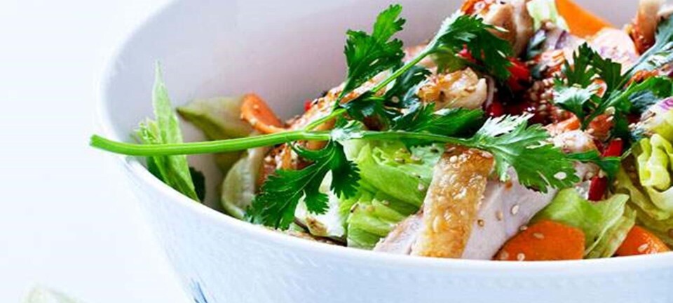 Sprød iceberg med asiatisk kylling