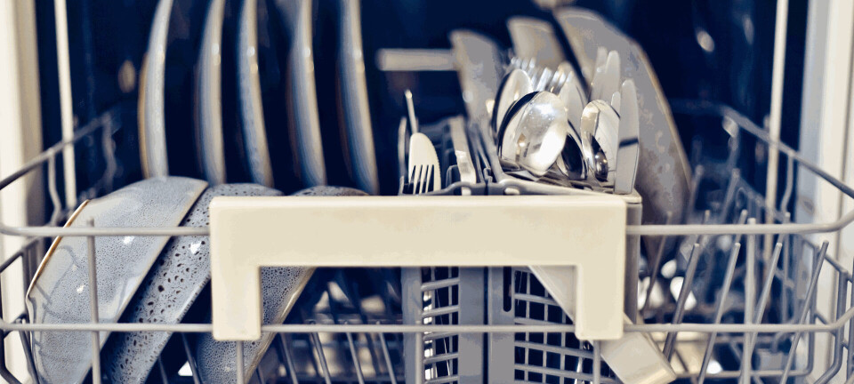 5 trin: Sådan rengør du din opvaskemaskine