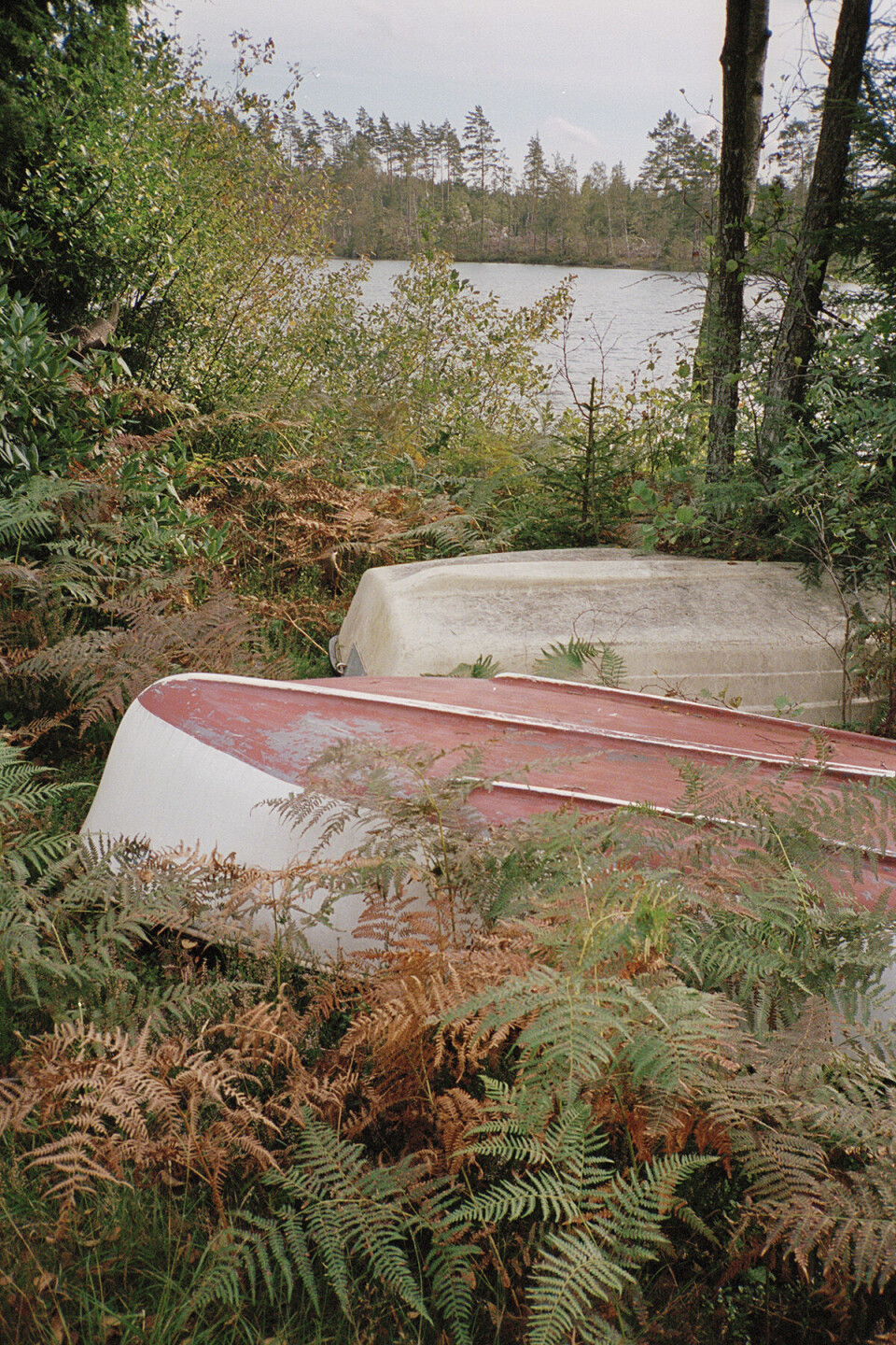 Carl Johan og Esme hus13.jpg