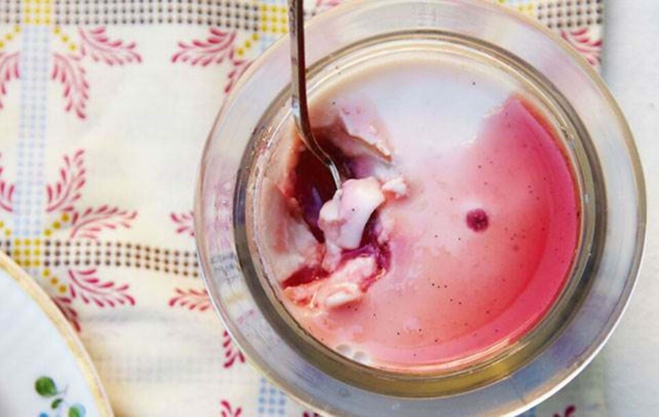 Panna cotta med rabarber