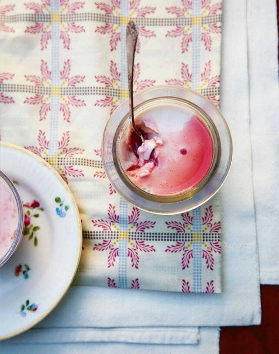 Panna cotta med rabarber
