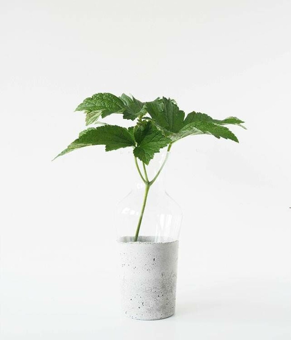 Vase i beton, DIY