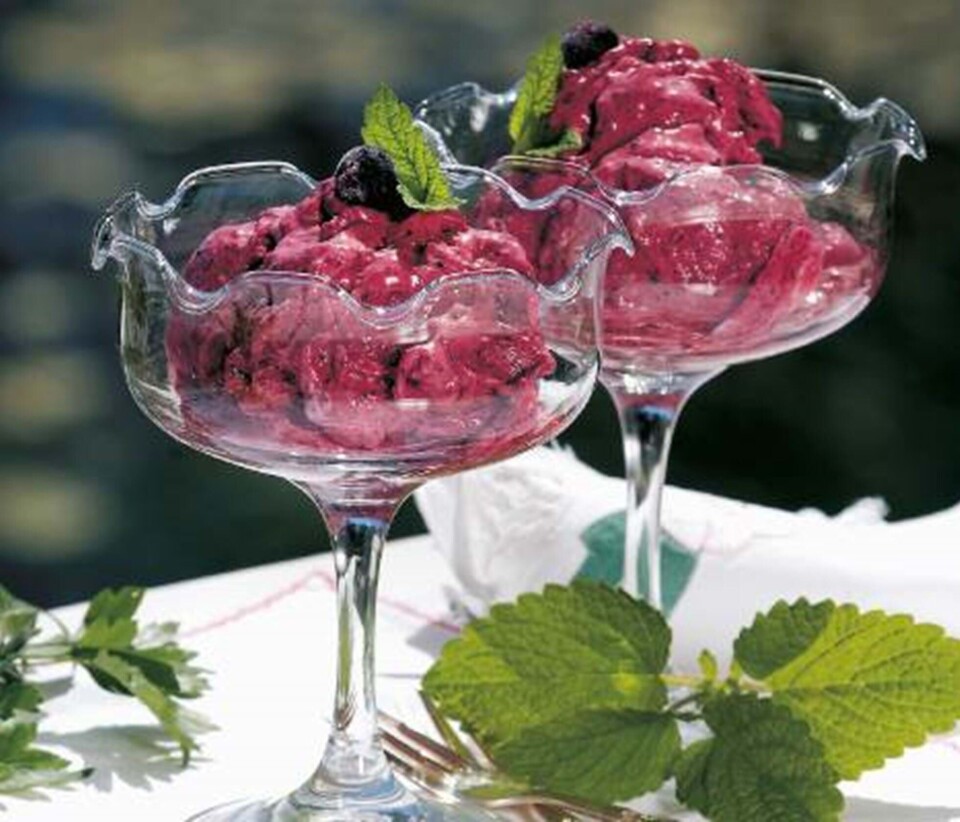 Frossen solbærdessert