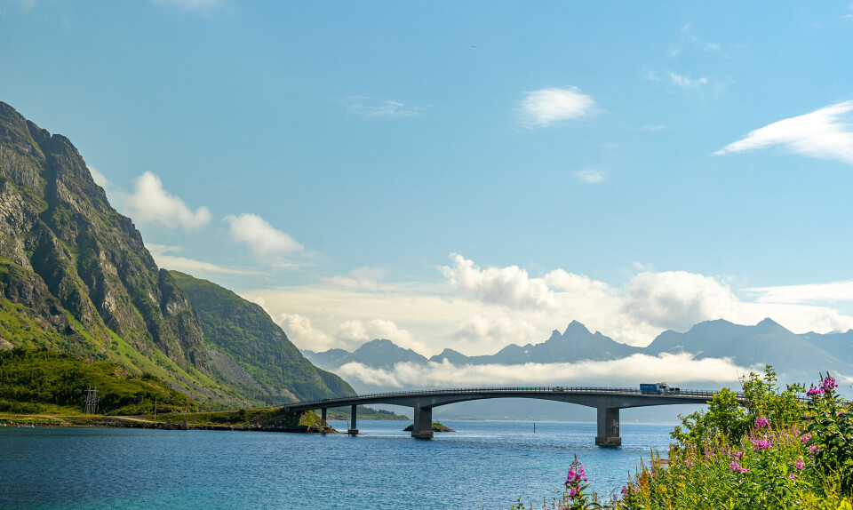 molde.jpg