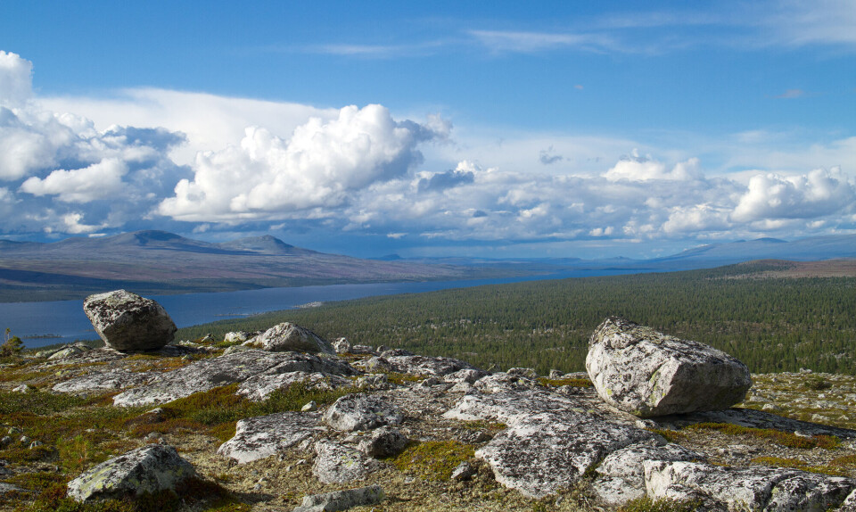 fermundsmarka.jpg