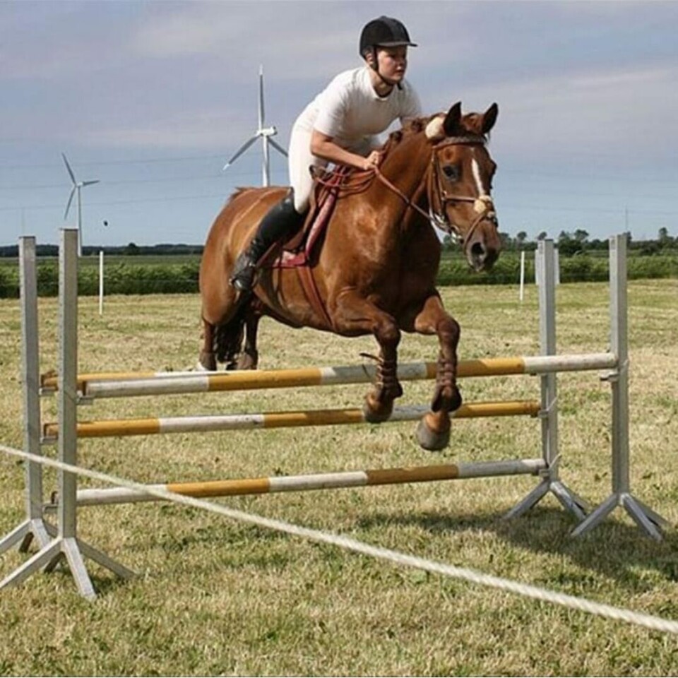 Camilla Styrbæk heste og ridning.jpg
