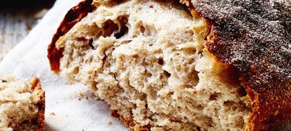 Nemt hverdagshvedebrød