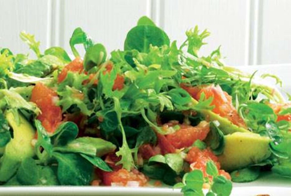 Grøn salat med avocado og grapefrugt