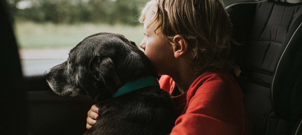Skal I have hund? Her er 21 børnevenlige hunderacer