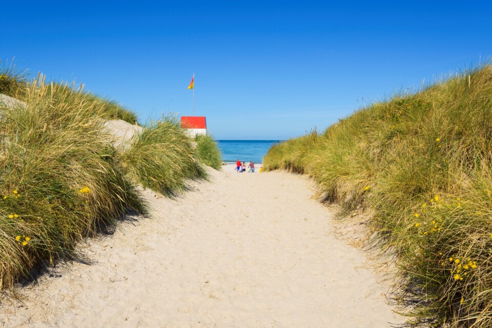 Roervig_strand.jpg