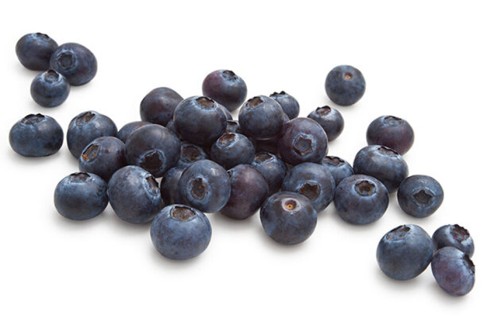 iStock_000015395335Large.jpg