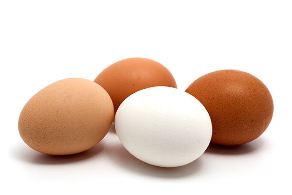 iStock_000008685545Large.jpg