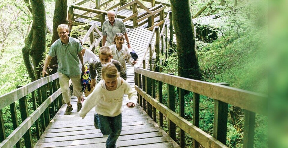 Geocenter_Møns_Klint.jpg