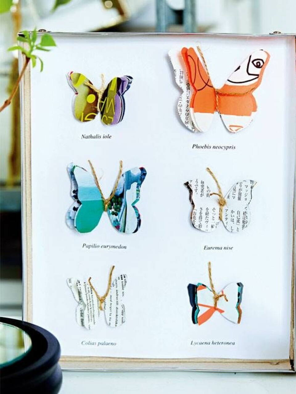 Lim, klip og fold: Spændende genbrug af papir