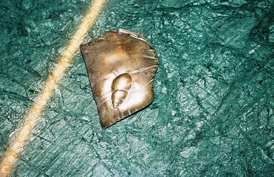 Hand Full af Mariae Lund