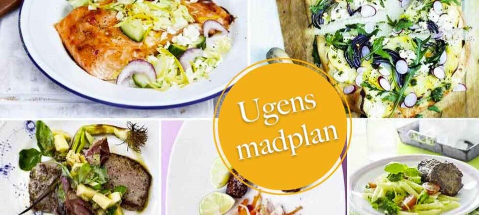 Lækker sommer-pizza, laks med græsk citronkål & hakkebøffer med citronpasta: Her er ugens madplan til dig!
