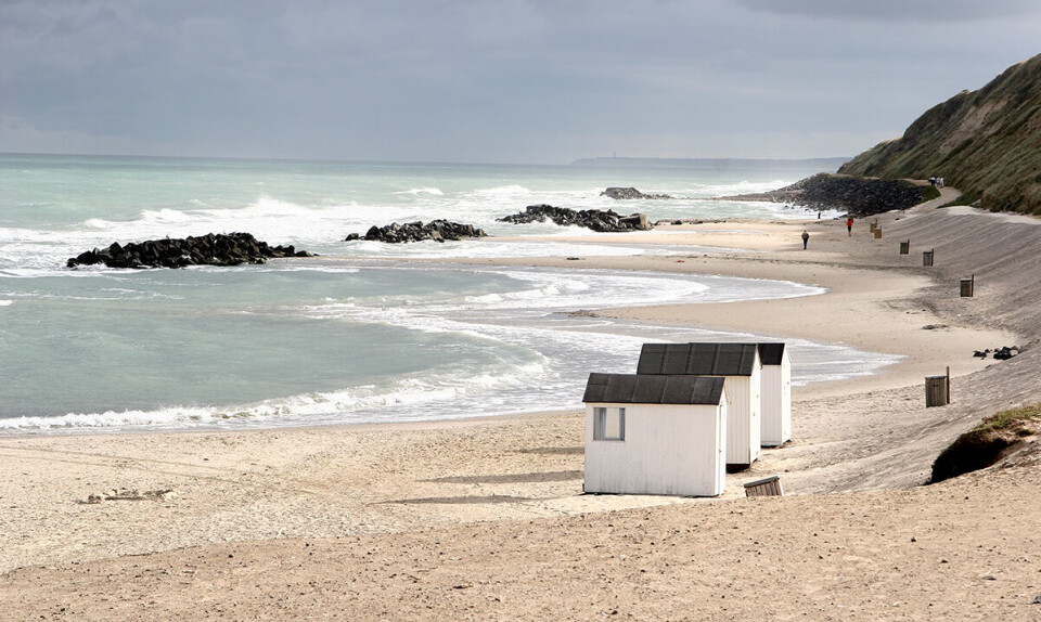 strand.jpg