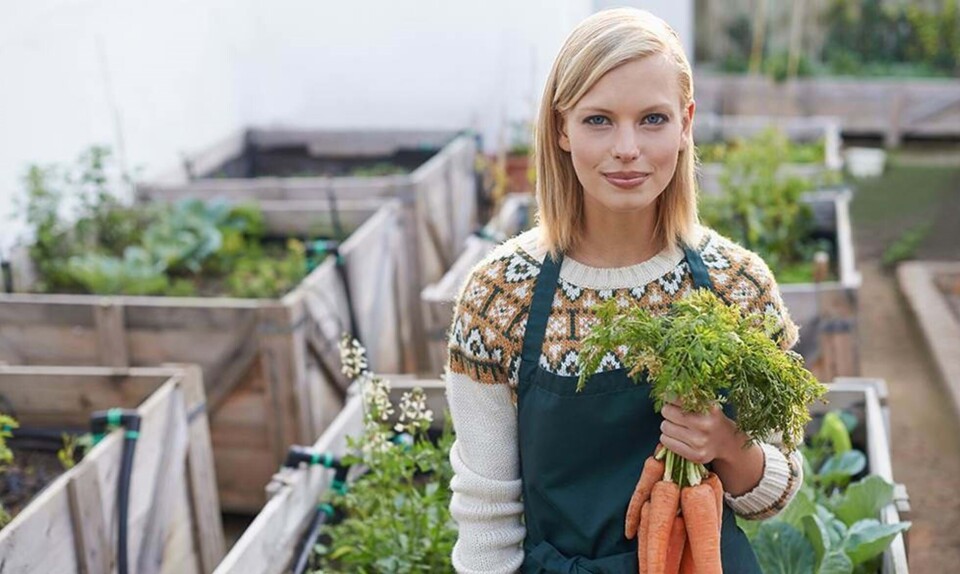 Fødevaremærker: Nøglehullet, fairtrade og økologi