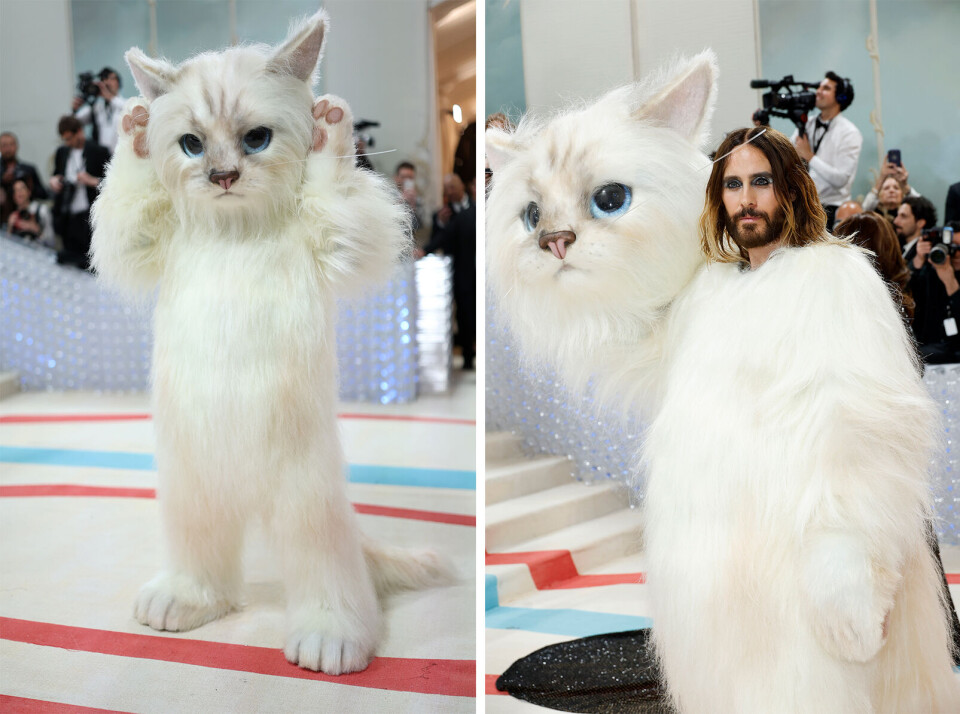jared leto.jpg