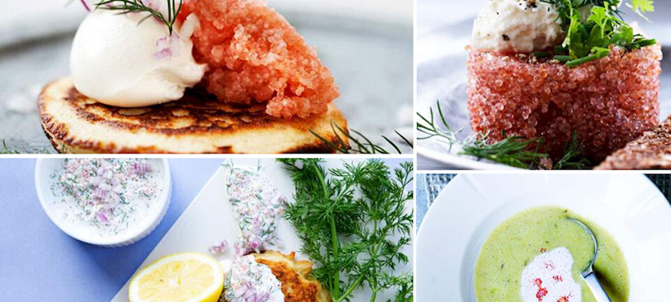 11 skønne opskrifter med stenbiderrogn