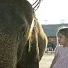 På jordomrejse med tre børn