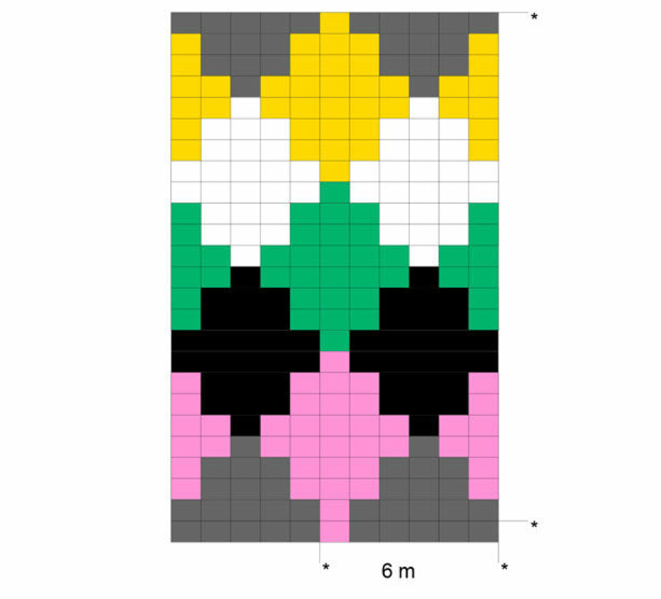 domino_diagram.jpg