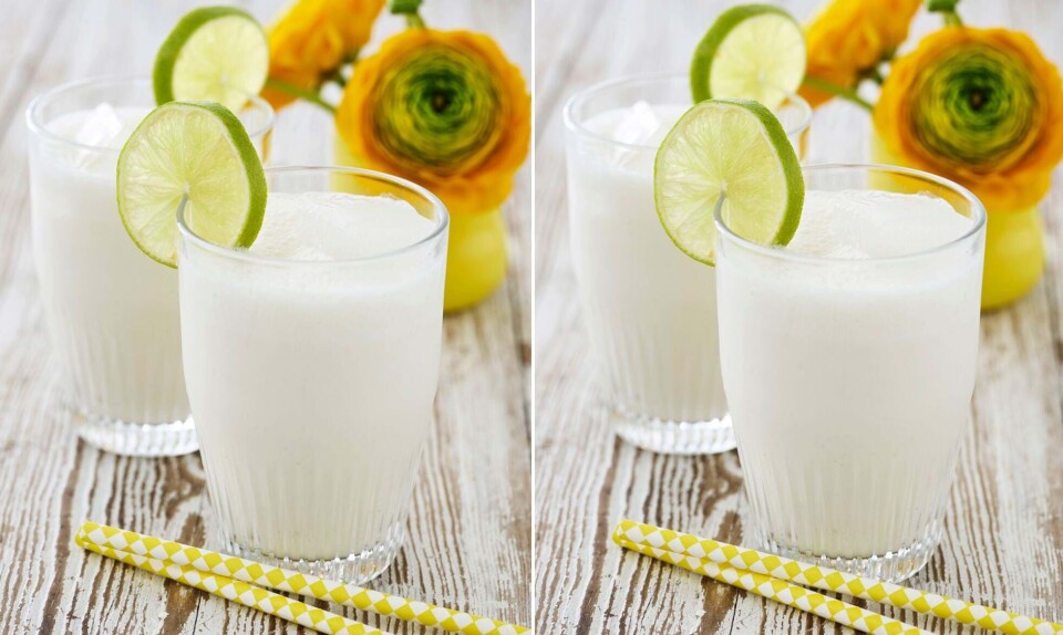 Milkshake med hyldeblomst