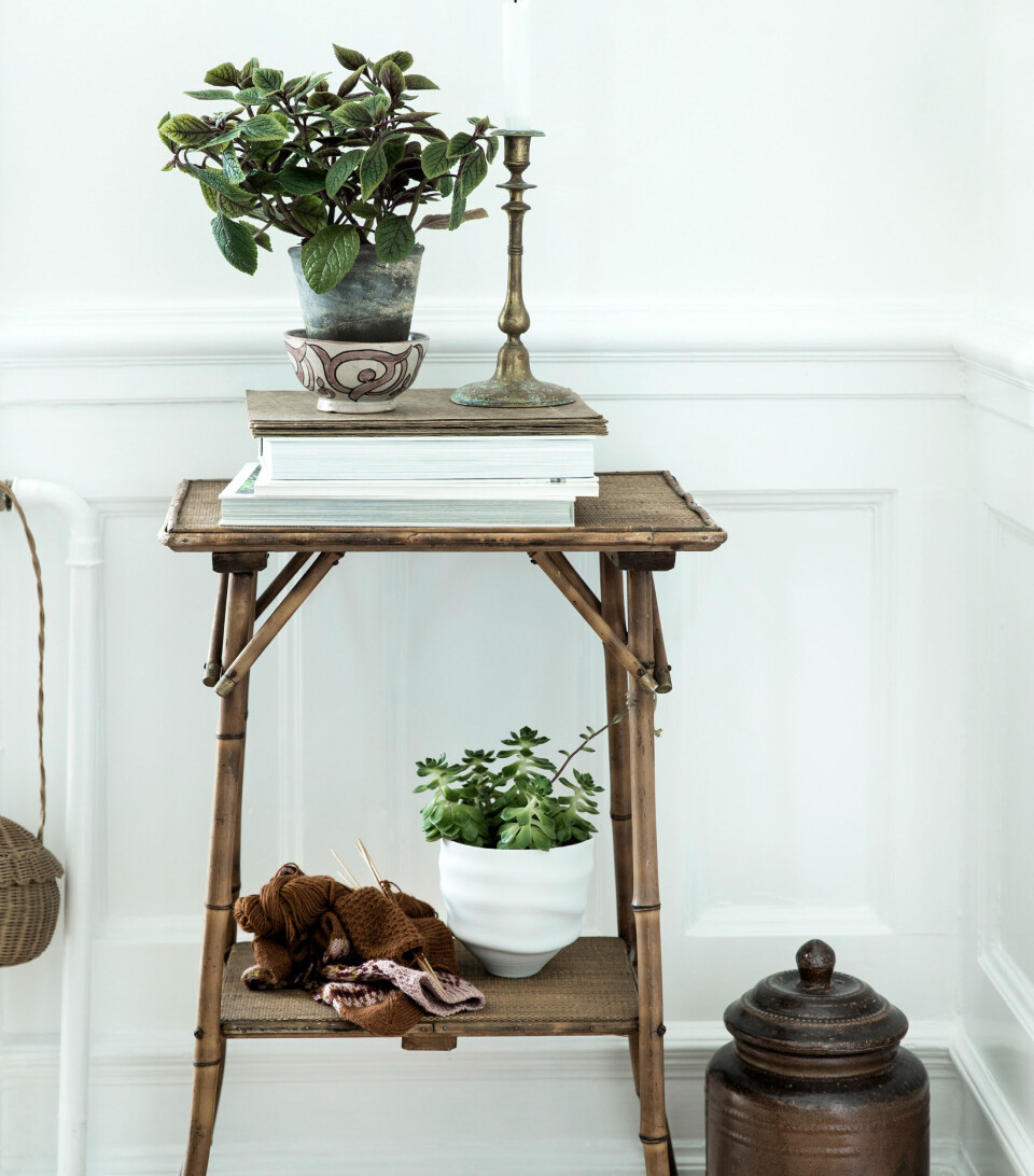 planter til soveværelset mølplante og stenurt