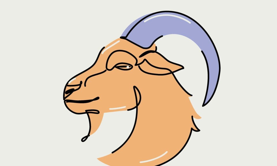 Det store sommerhoroskop: Stenbukken