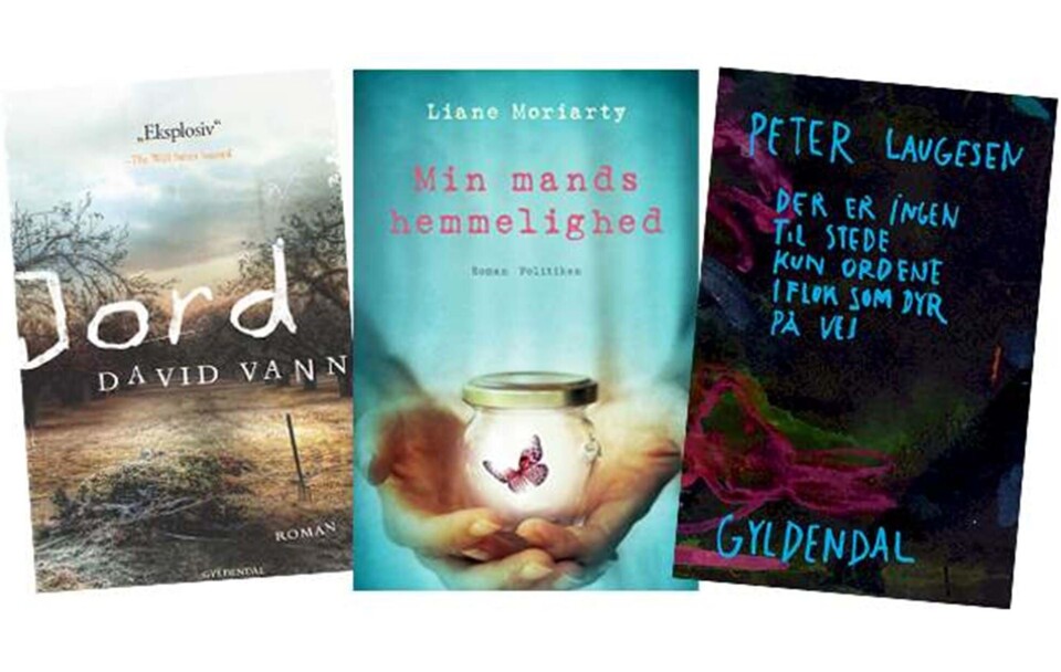 Anmelder: Bogen er som hedt kul imellem hænderne