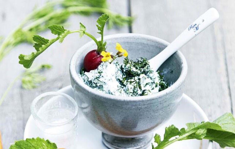 Dip