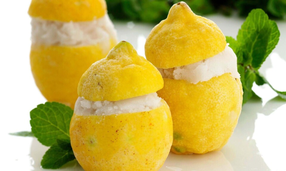 Skøn dessert med gin: Citroner med gin & tonic-sorbet