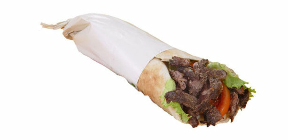 kebab.jpg