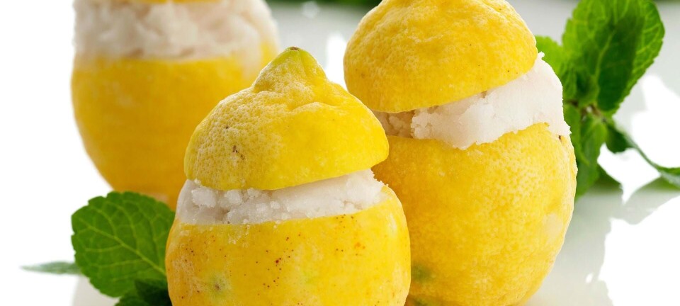 Skøn dessert med gin: Citroner med gin & tonic-sorbet