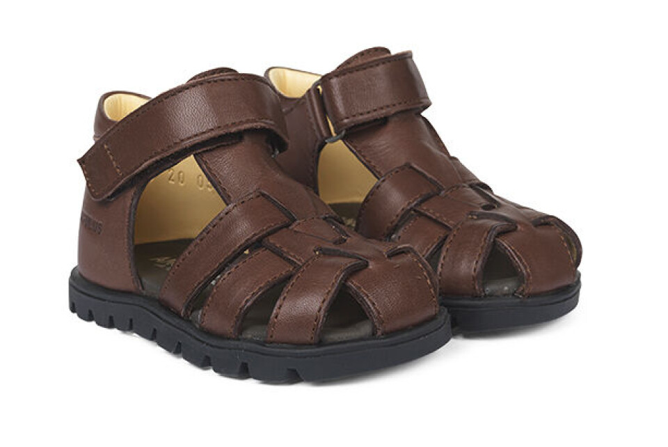 Angulus sandaler.jpg