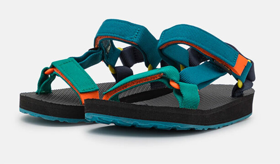 teva.jpg
