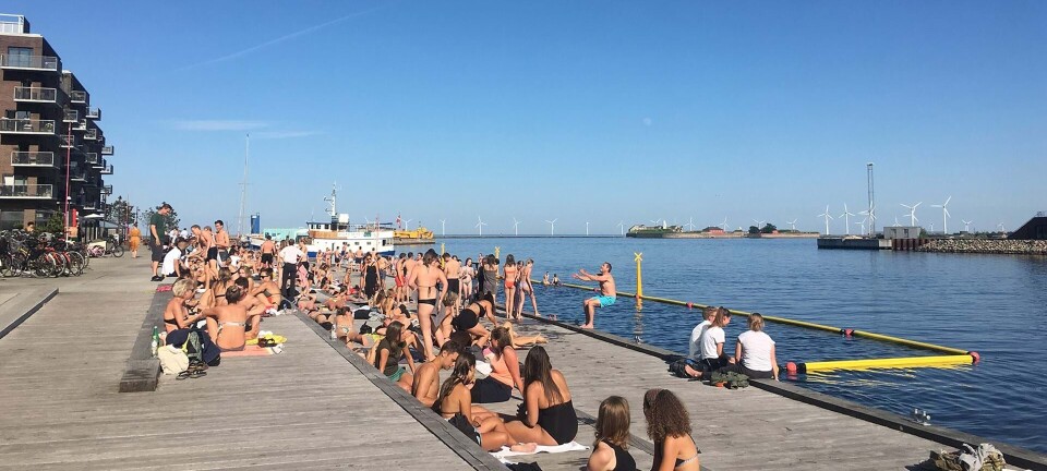Her er 17 steder, du må bade (lovligt!) i København