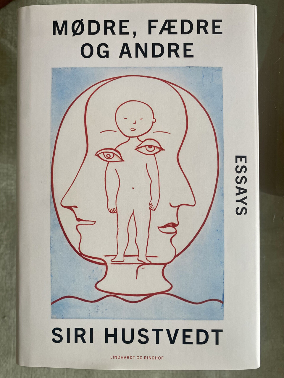 Siri Hustvedt Mødre fædre og andre
