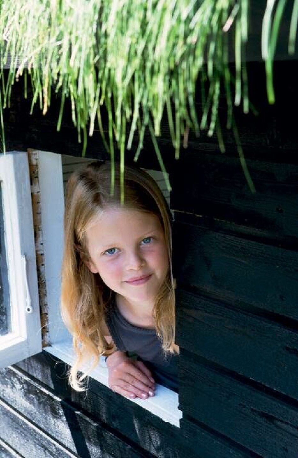 5 helt specielle legehuse