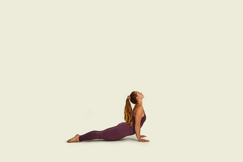 2f_Yoga.jpg