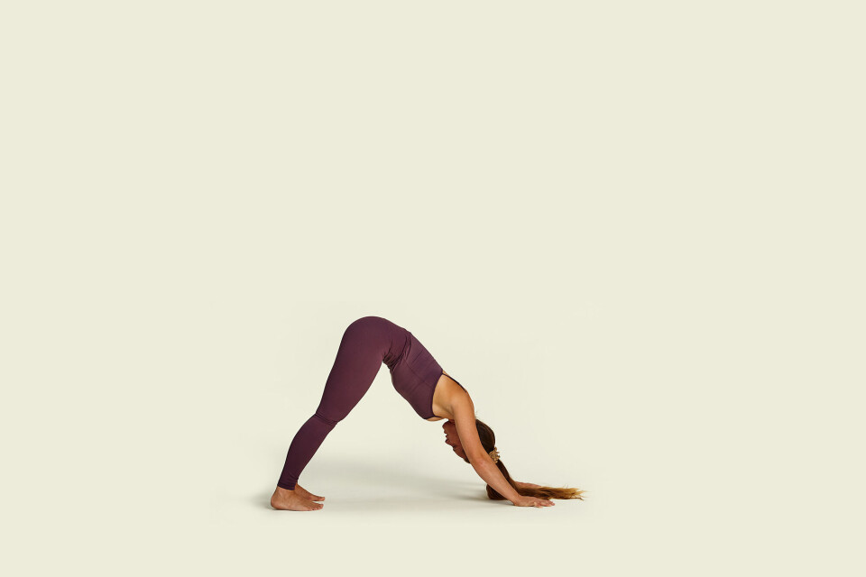 5a_Yoga.jpg