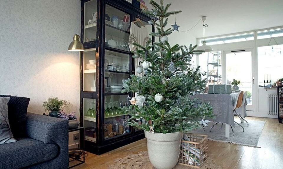 Louise Dorph: Sådan pynter jeg op til jul
