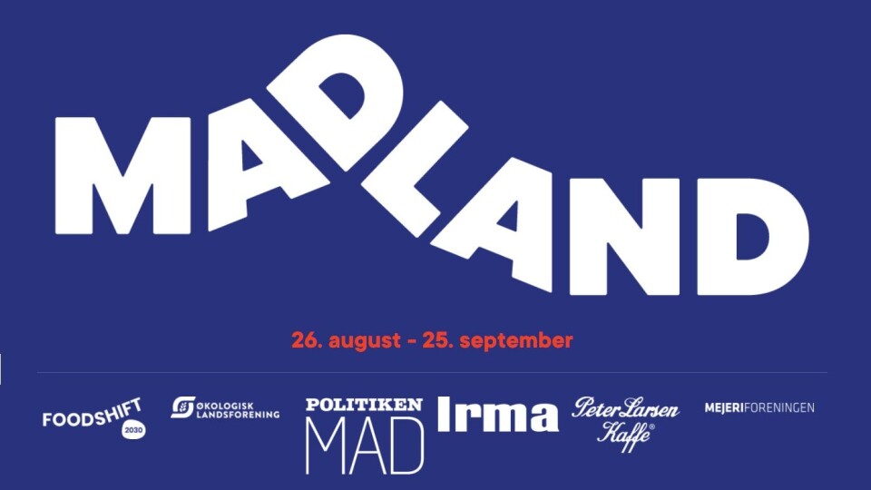 Madland 2020 festival.jpg