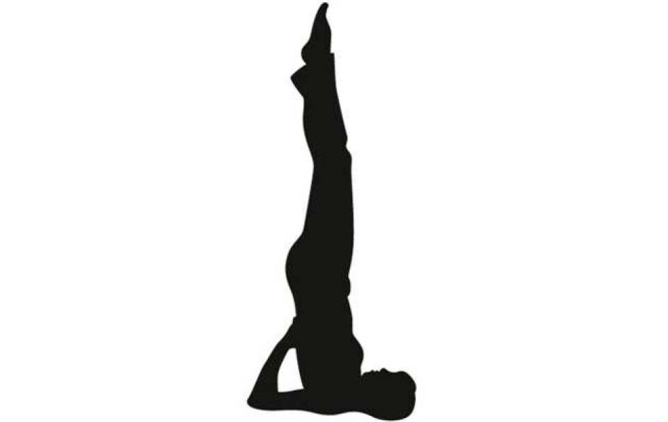 5 øvelser: fits lille yogaskole